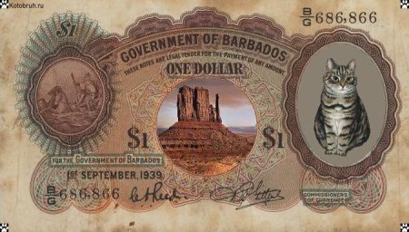 Южноафриканский Рэнд валюта