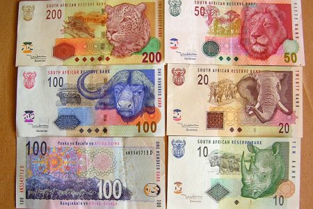 Купюры с животными