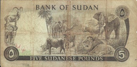 Африканские деньги