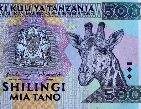 Южноафриканский Рэнд 100