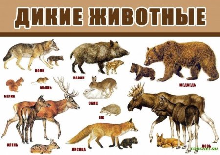 Силуэты домашних и диких животных