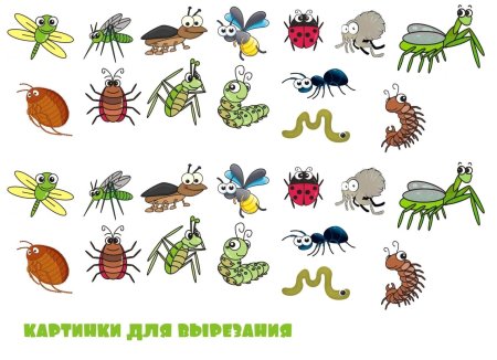 Ползающие насекомые для дошкольников
