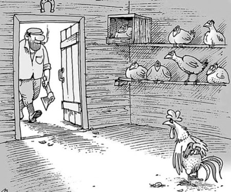 Карикатуры животных