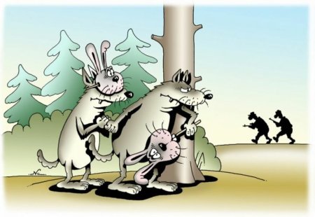 Карикатуры животных