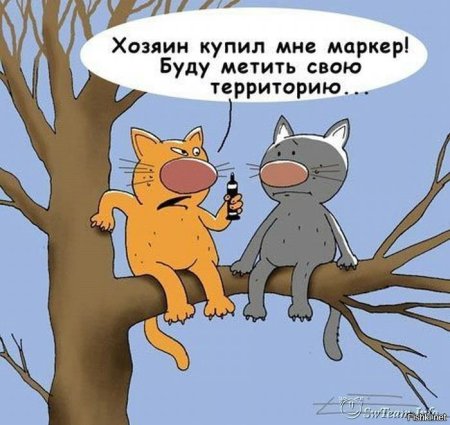 Карикатуры смешные