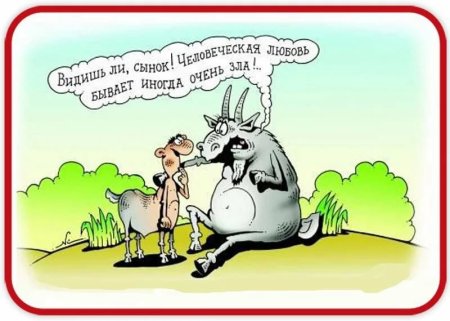 Карикатуры смешные