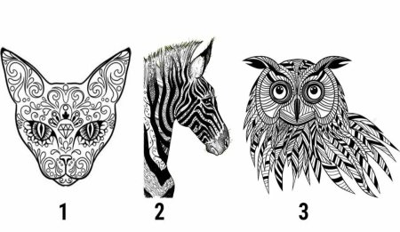 Психологические тесты в картинках