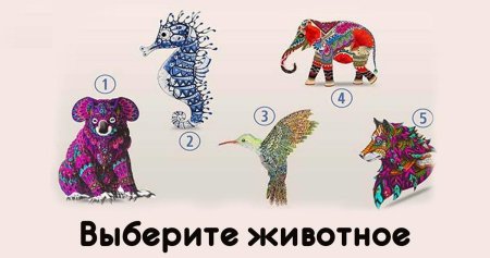 Выберите животное тест