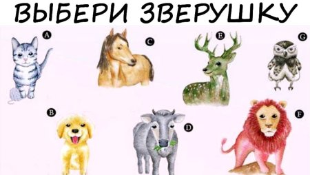 Тест с животными