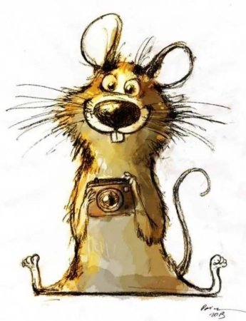 Дайнюс Шукис