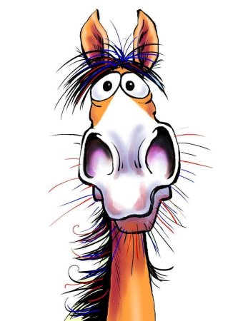 Смешные рисунки животных