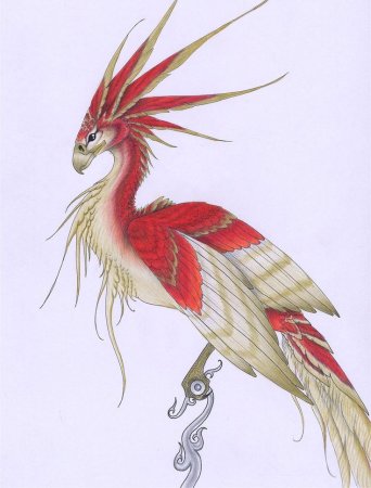 Фантазийные птицы