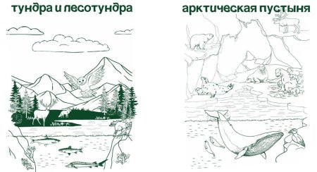 Раскраска Арктическая пустыня