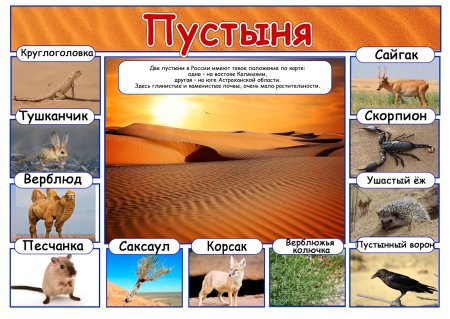 Рисунки животных степи