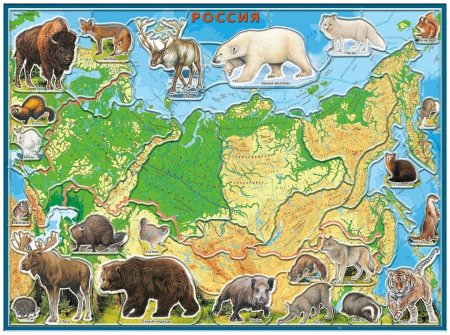 Рисунки животных степи