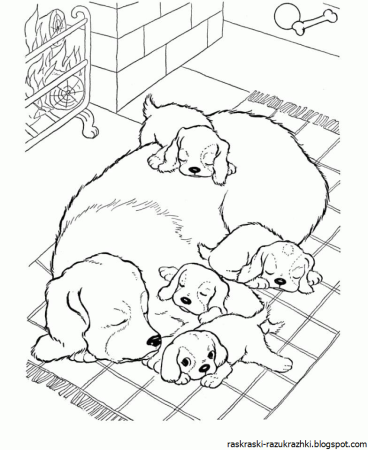 Раскраска "собаки"