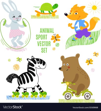 Спорт животные для детей