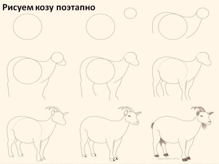 Поэтапное рисование козы