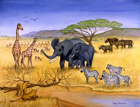 Саванна для дошкольников