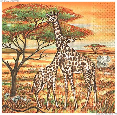 Саванна рисунок