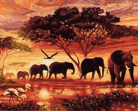 Картина по номерам слоны в Африке