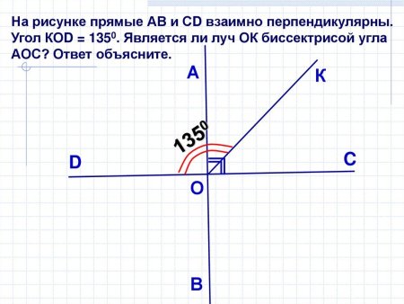 Координатная плоскость 20 точек