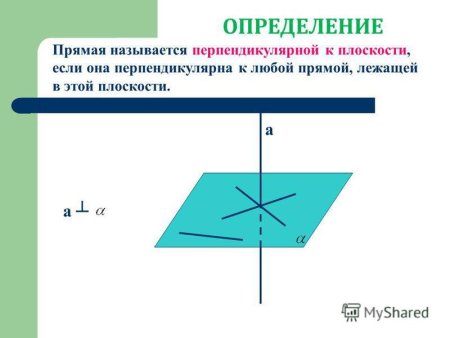 Слоник по координатам