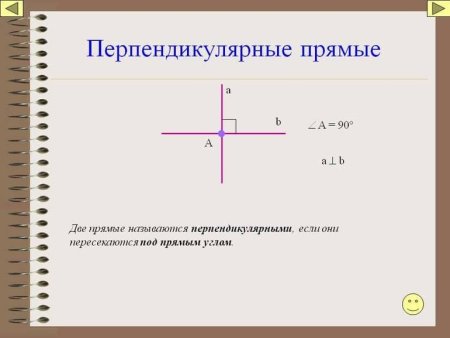 Животные по координатным точкам