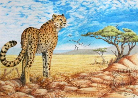 Животные саванны арт