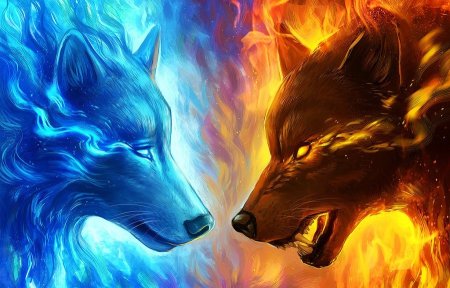 Огненные лольки