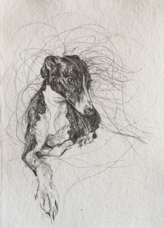 Серов анималистика