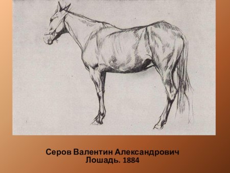 Серов анималист