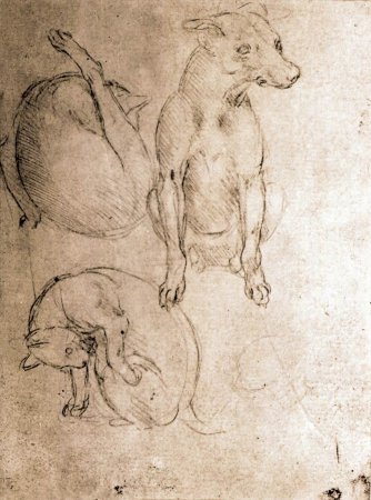 Леонардо да Винчи картины животных