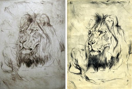 Серов анималист