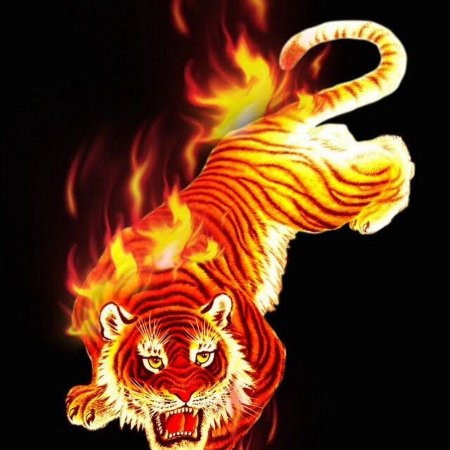 Тигр в огне