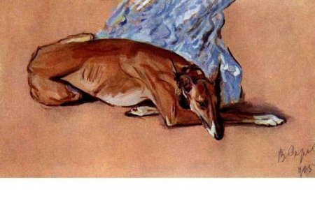 Серов анималист