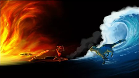 Коты Воители 4 стихии