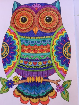 Декоративное рисование Сова