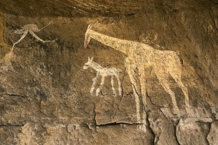Изображение животных в пещерах