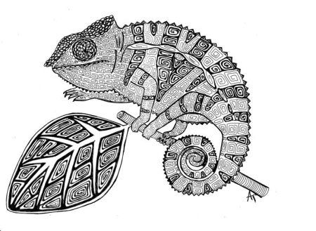Хамелеон рисунок