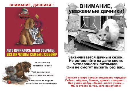 Листовки не бросайте животных