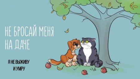 Плакат не забывайте животных на дачах