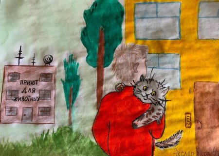 Рисунки бездомных животных детские