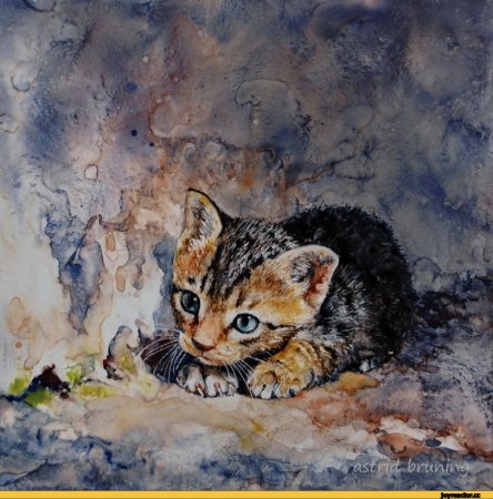 Не бросайте животных цитаты