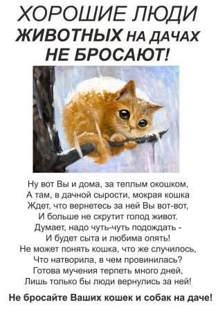 Не бросайте животных на дачах