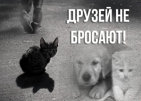 Меня бросили друзья