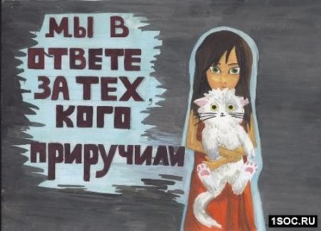 Социальный плакат мы в ответе за тех кого приручили