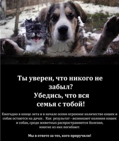 Не оставляйте животных на даче