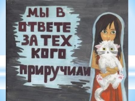 Рисунок мы ответственны за тех кого приручили