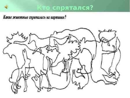 Какие животные спрятались на картинке